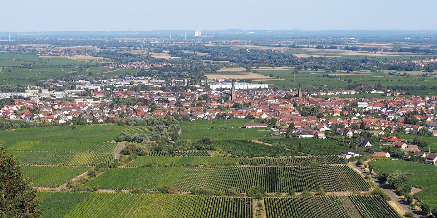 Edenkoben – Umzugsunternehmen M+M Umzüge